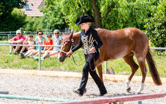 Birkenhof Classic 2018 - Bild 51_50