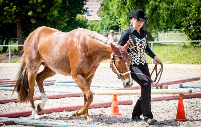 Birkenhof Classic 2018 - Bild 52_51