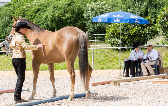 Birkenhof Classic 2018 - Bild 56_55