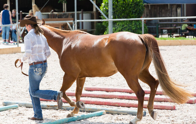 Birkenhof Classic 2018 - Bild 57_56