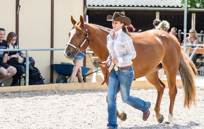 Birkenhof Classic 2018 - Bild 61_60