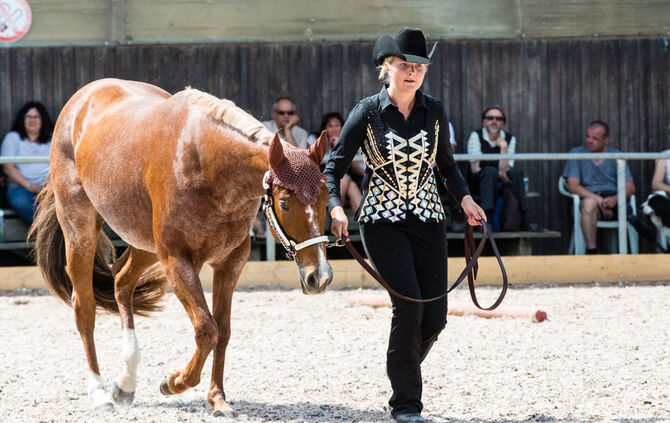 Birkenhof Classic 2018 - Bild 63_62