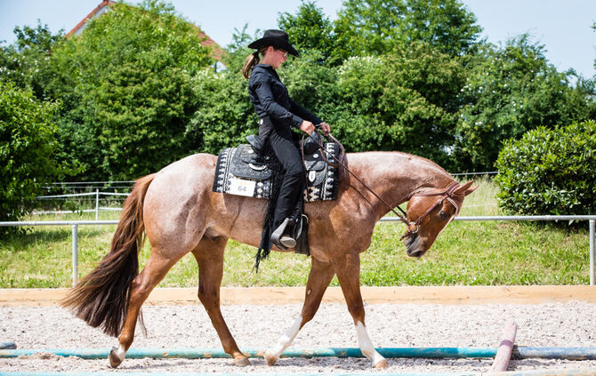 Birkenhof Classic 2018 - Bild 68_67