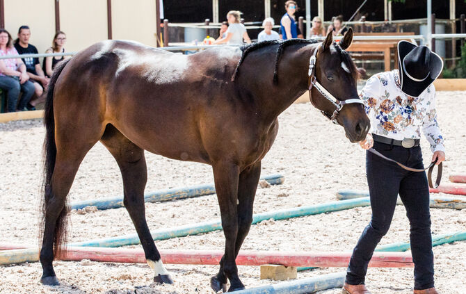 Birkenhof Classic 2018 - Bild 69_68