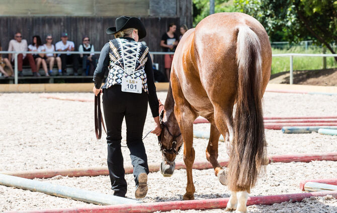 Birkenhof Classic 2018 - Bild 71_70