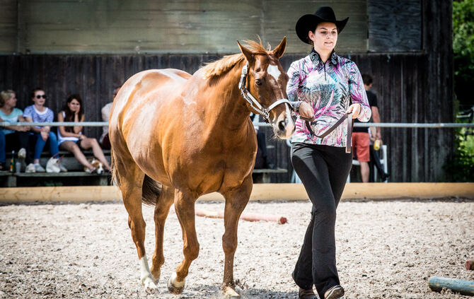 Birkenhof Classic 2018 - Bild 76_75