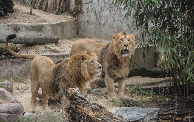 KW_02a_Starker_Besucherzuwachs_2017_10.01.2018_Bild_1_0