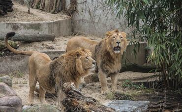 KW_02a_Starker_Besucherzuwachs_2017_10.01.2018_Bild_1_0