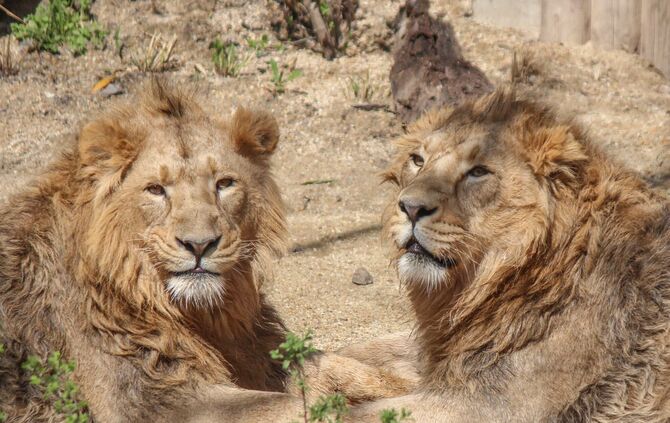 KW_02a_Starker_Besucherzuwachs_2017_10.01.2018_Bild_2_1