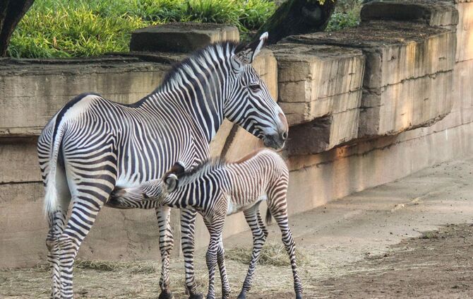 KW_02a_Starker_Besucherzuwachs_2017_10.01.2018_Bild_4_2