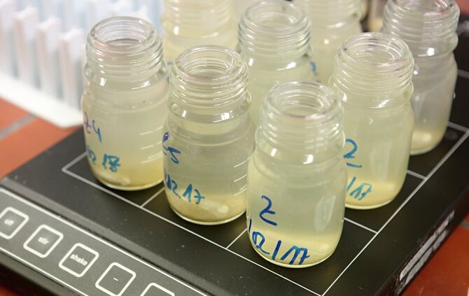 Abwassermeisterin Jahnel