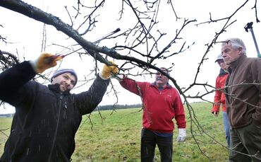 4c0f9428-06cb-4bb6-8813-e1334caa6d43.jpg_0