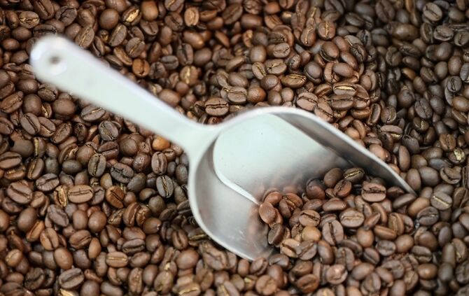 caffe pilu