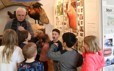 89d18e9e-8d14-4ca4-8c65-1d887caec939.jpg_0