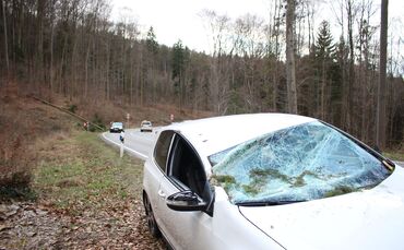 Allmersbach im Tal_Baum stürzt auf Pkw_0