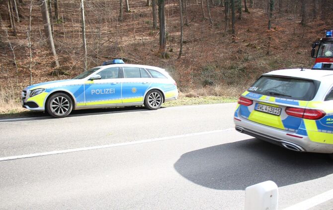 Allmersbach im Tal_Baum stürzt auf Pkw_4