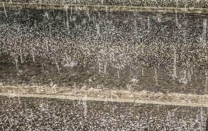 Unwetter Korb_33