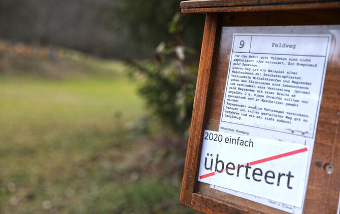 asphaltierter Waldweg