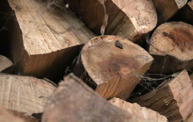 Holz Holzstapel Brennholz symbol symbolbild symbolfoto
