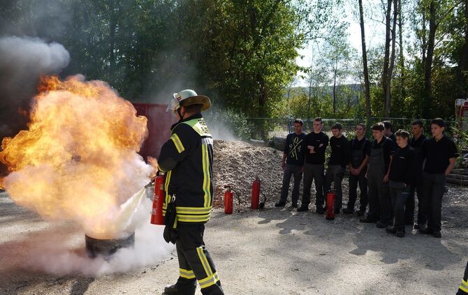 41dc1a08-bef1-409c-9f5d-fc49c759defd.jpg_0