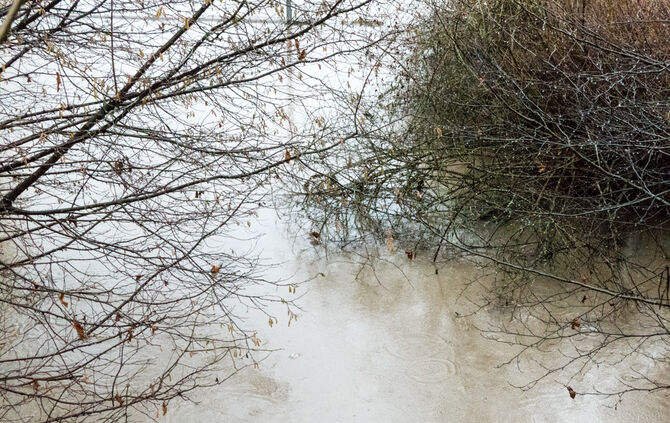 Unwetterfolgen - Bild 22_6