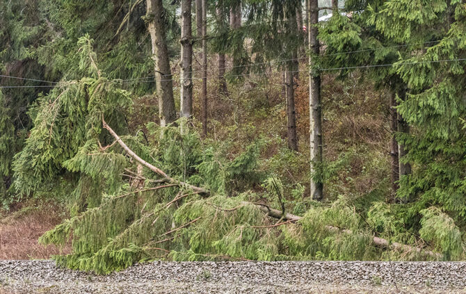 Unwetterfolgen - Bild 12_7