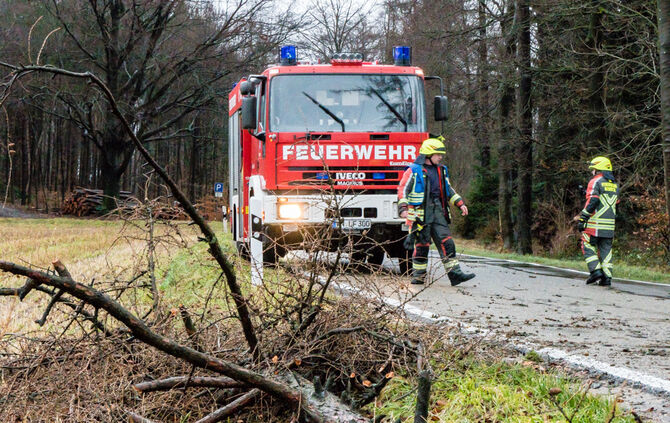 Unwetterfolgen - Bild 08_17