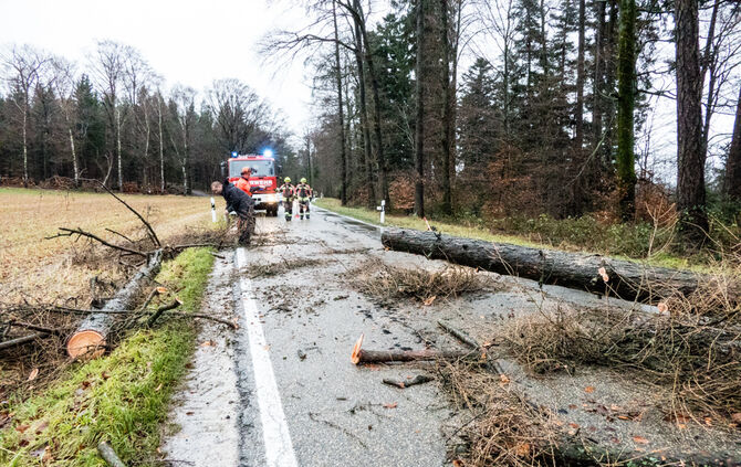 Unwetterfolgen - Bild 04_19