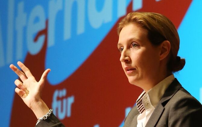 Ist der AfD-Spender ein Deutscher?_0