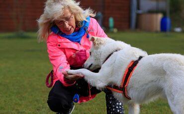 1a5ec002-db18-4440-995a-ba06730fc822.jpg_0