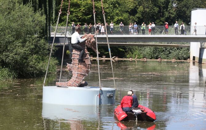 Seepferdchen auf der Rems gelandet_0