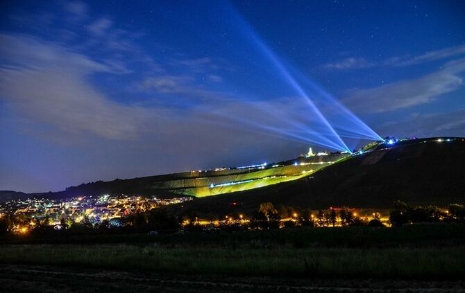 Leuchtender Weinberg - Bild 24_0