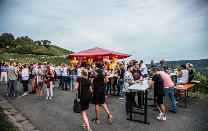 Leuchtender Weinberg - Bild 06_6