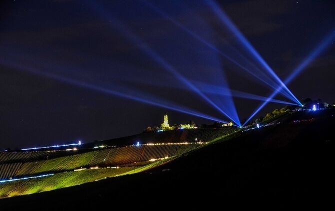 Leuchtender Weinberg - Bild 09_9