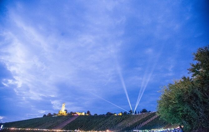 Leuchtender Weinberg - Bild 19_19