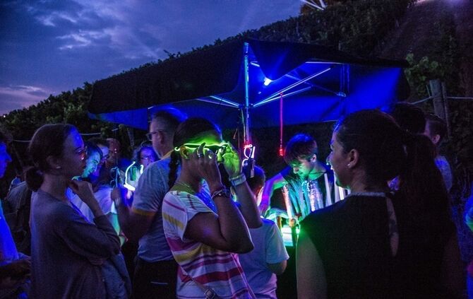 Leuchtender Weinberg - Bild 20_20