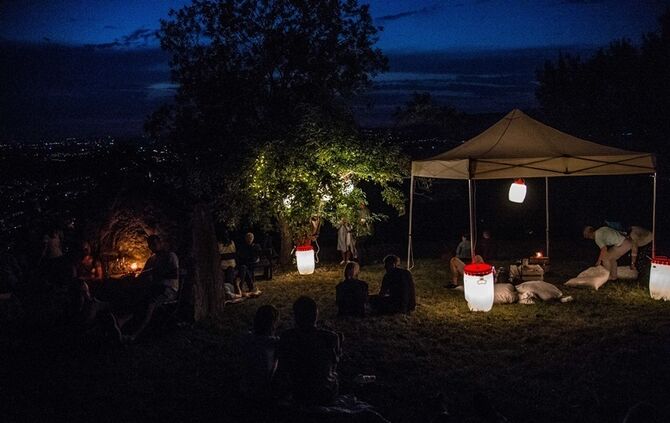 Leuchtender Weinberg - Bild 21_21