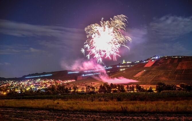 Leuchtender Weinberg - Bild 25_24