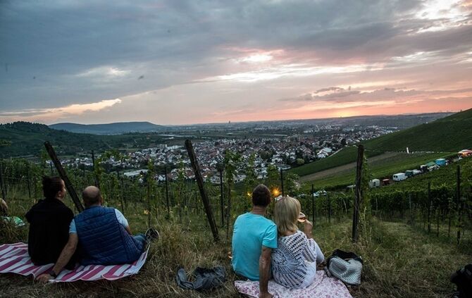 Leuchtender Weinberg - Bild 29_28