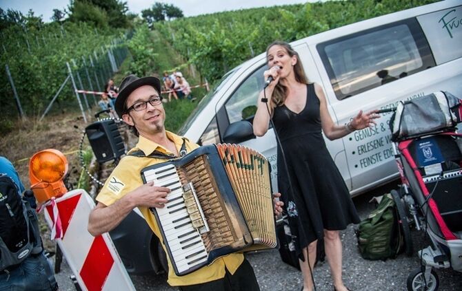 Leuchtender Weinberg - Bild 33_32