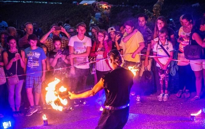 Leuchtender Weinberg - Bild 37_36