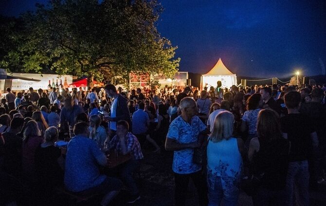 Leuchtender Weinberg - Bild 44_43