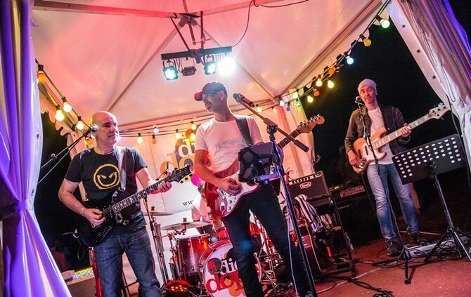 Leuchtender Weinberg - Bild 45_44