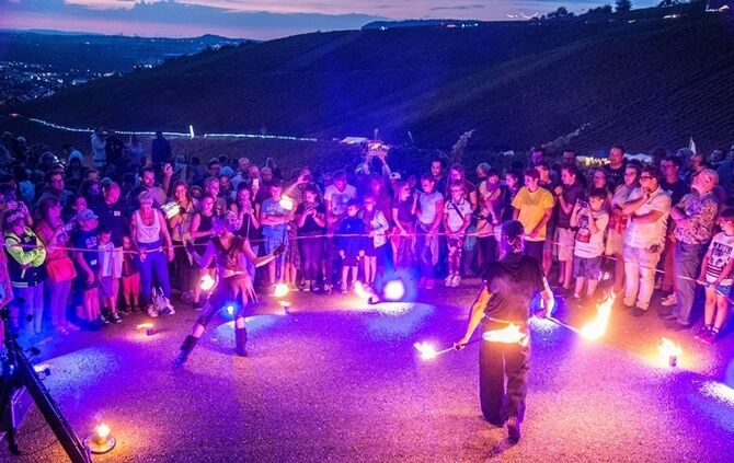 Leuchtender Weinberg - Bild 46_45