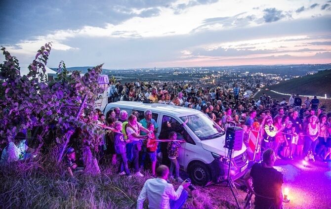 Leuchtender Weinberg - Bild 47_46