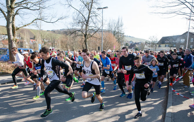 Volkslauf - Bild 11_10