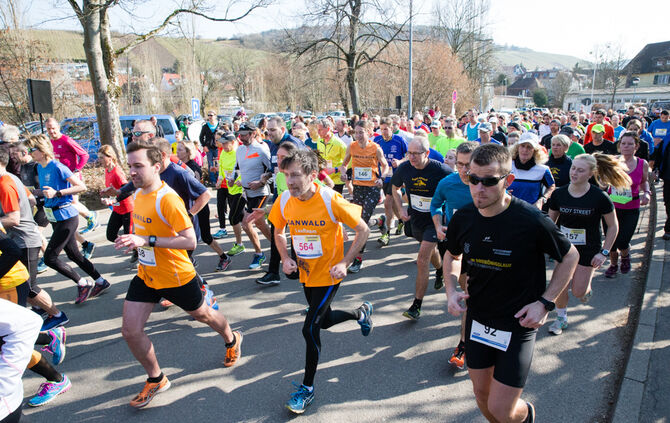 Volkslauf - Bild 17_16