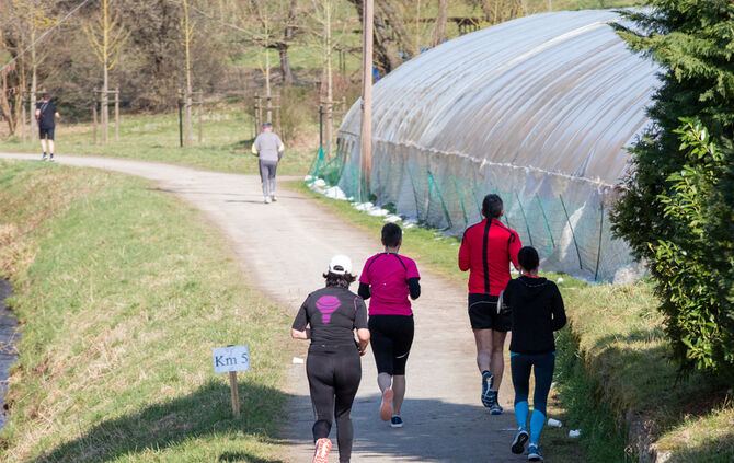 Volkslauf - Bild 119_118