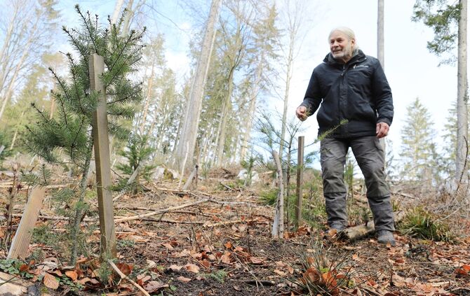 Wald & Lechleitner