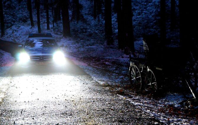 Schwerer Unfall mit Pferdekutsche im verschneiten Wald - Bild 06_0